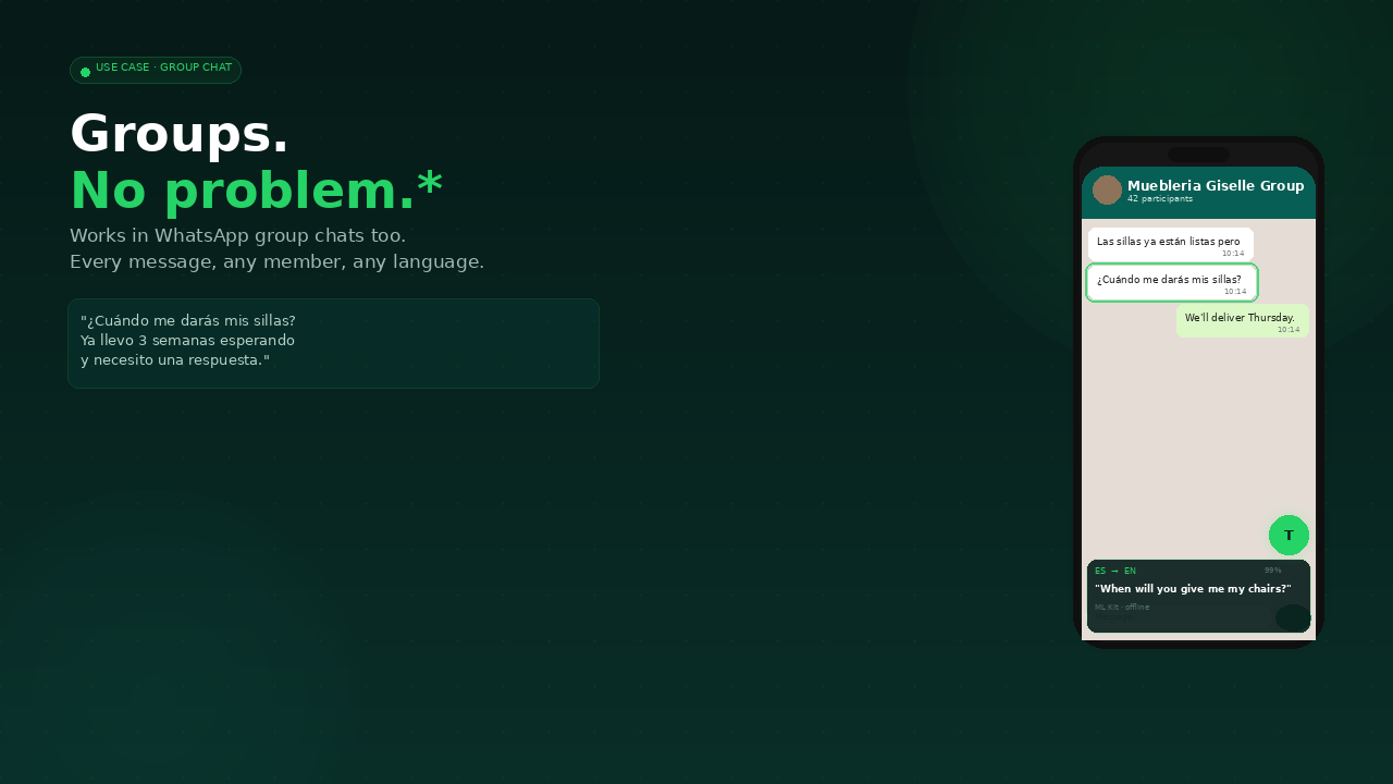 Transly for business WhatsApp